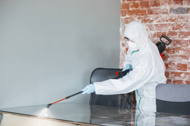 Mold Remediation for Vacation Homes