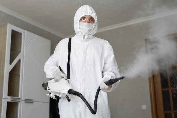 Best Emergency Mold Remediation  in Fairview, TX